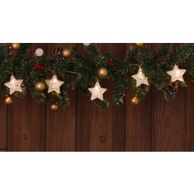   LED karácsonyi lánc, csillag,fehér, elemes (X22053) - CHRSTSTWM10WW