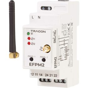 Rádiós moduláris jelvevő egység, 2 csatornás - EFPM2