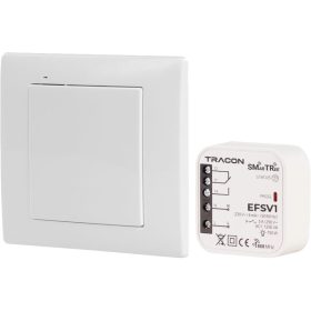   Vezeték nélküli vezérlő készlet, 1 csatornás, fali nyomógomb - EFSV1