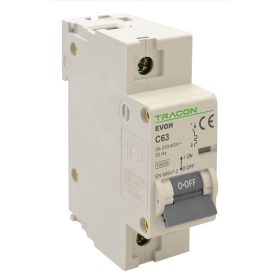   Kismegszakító, nagyáramú, 1 pólus, C karakterisztika - EVOH1125
