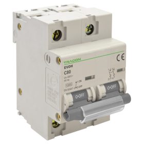  Kismegszakító, nagyáramú, 2 pólus, C karakterisztika - EVOH2125