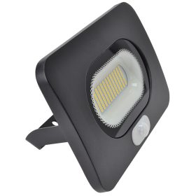 SMD fényvető mozgásérzékelővel, fekete - RSMDLM50