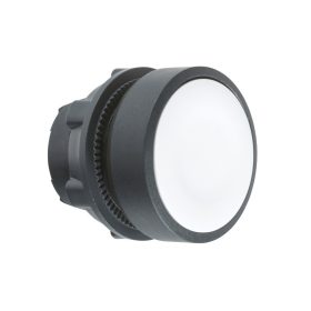 Schneider ZB5AA1 - Nyomógombfej fehér