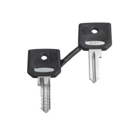 Schneider ZBG455P - Kulcs 455 tip. Védővel